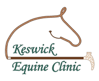 Keswick Equine Clinic Logo