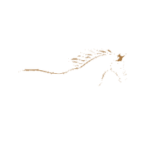 Moore Equine Dental Services Logo